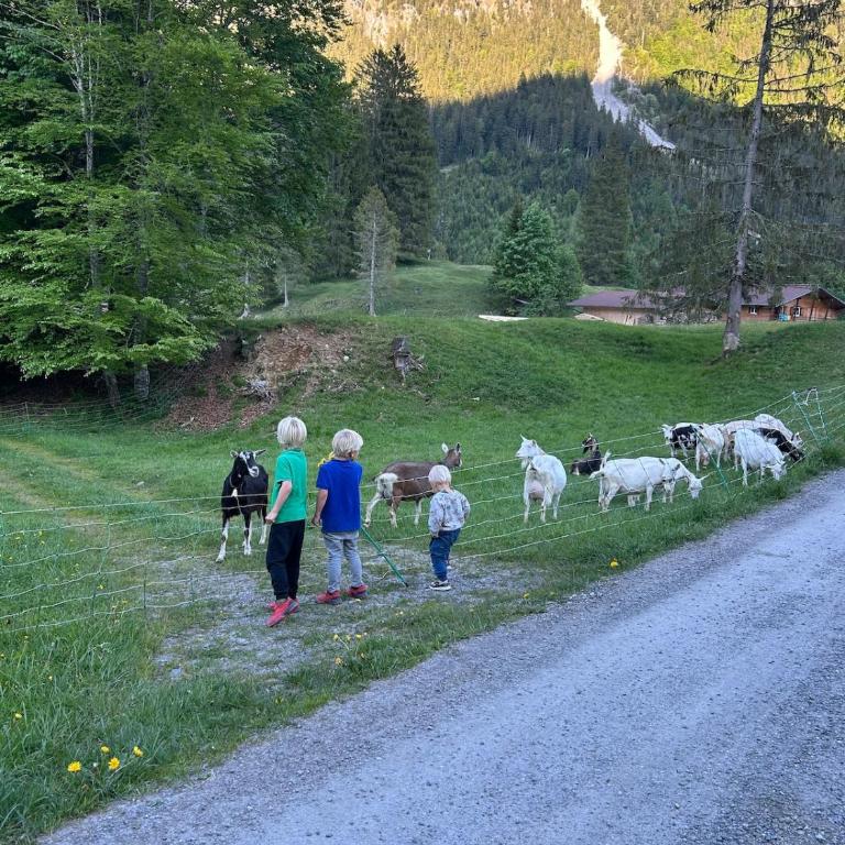 Perfect apartment for climbers and nature-loving couples in Oberstdorf - Deluxe Apartment - 22