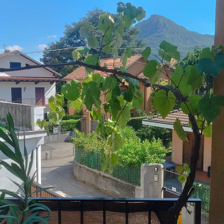 Oasi Panoramica Suite - Appartamento con Vista Montagna - 32