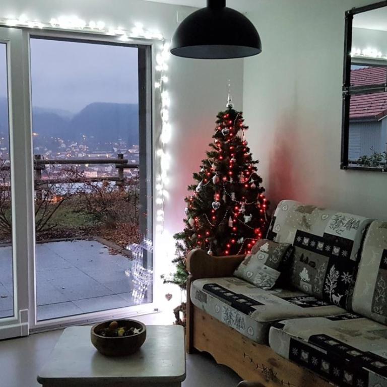 Chez Gladys et Christophe - Appartement Supérieur - Vue sur Ville - 12