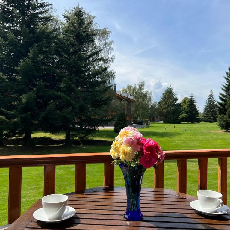 Apartamento con vistas en Puigcerda - Apartment mit 3 Schlafzimmern und Aussicht - 21
