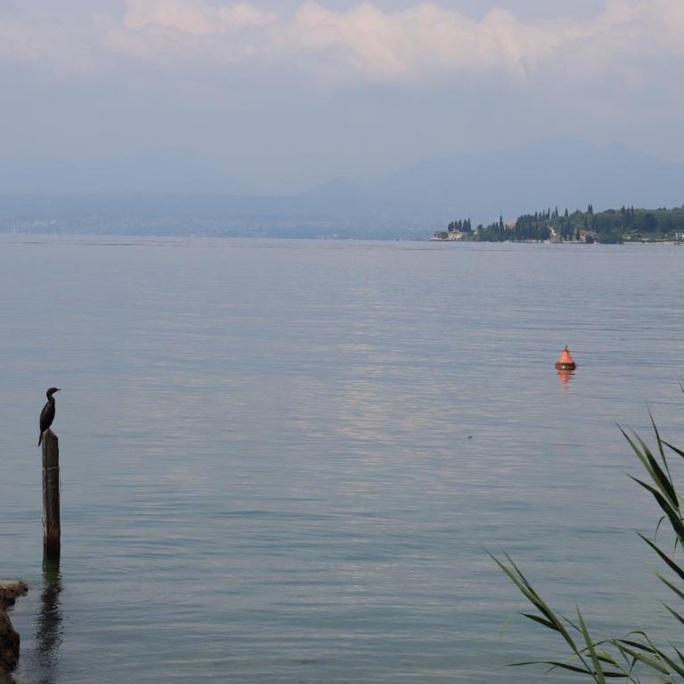 Monika Holiday 210 Il Balconcino Sul Garda - Monolocale - 52