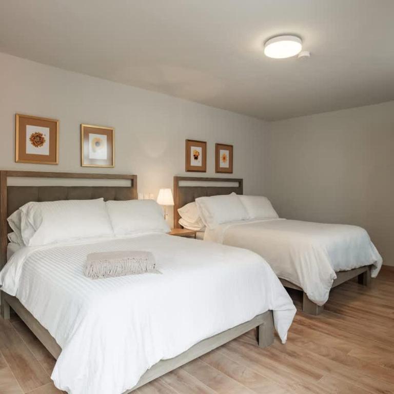 San Miguel Home Rooftop & City Center Views - Apartment - 16
