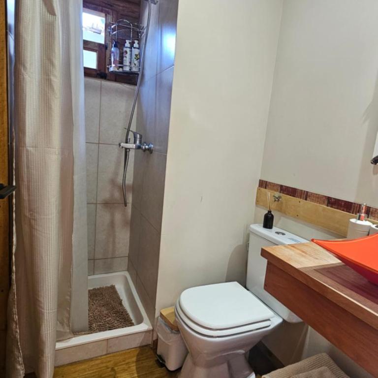 Rukalem Cabañas Apart ll - Apartamento de 1 dormitorio - 4