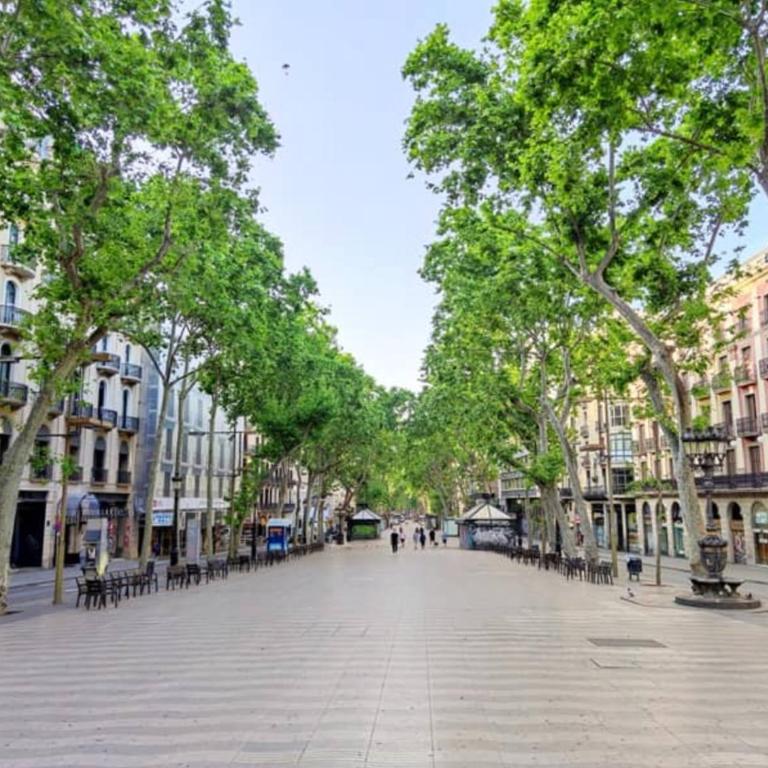Bright 2BR Apt in Pl. Catalunya - Rambla D - Apartamento - 2
