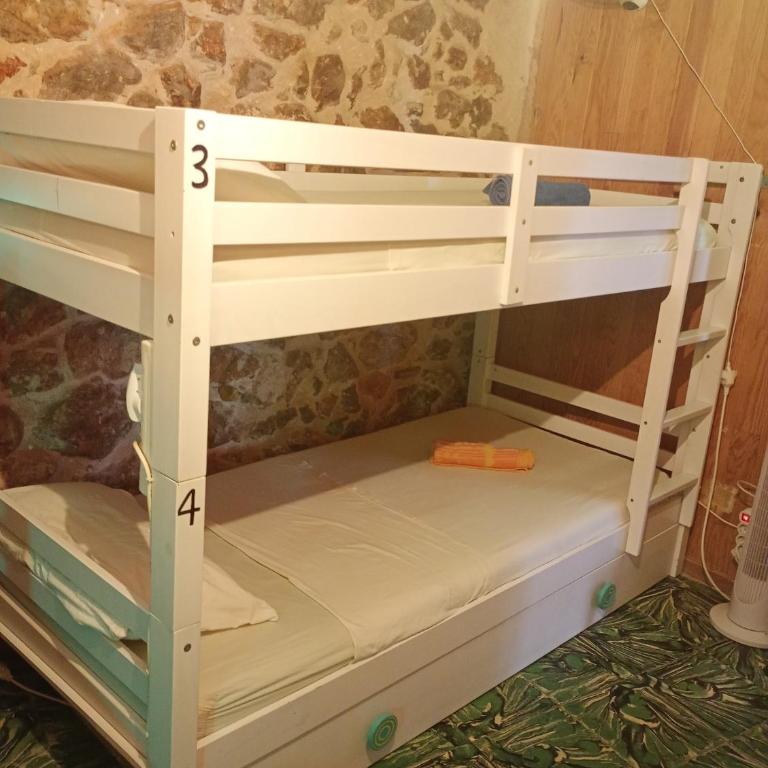 Guesthouse Dénia - Cama en habitación compartida mixta de 4 camas - 5