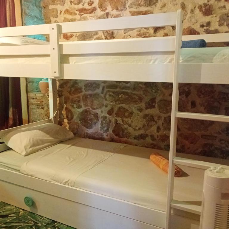Guesthouse Dénia - Cama en habitación compartida mixta de 4 camas - 8