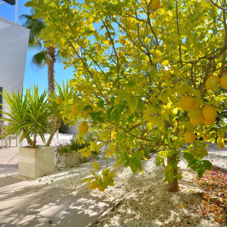 Hillside Luxury Villas by NRAS - Villa con vistas al mar - 19