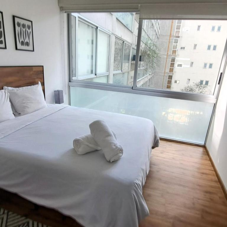 Condominio Qbico Santa Fe - Apartamento Deluxe de 2 dormitorios con vistas al jardín - 11