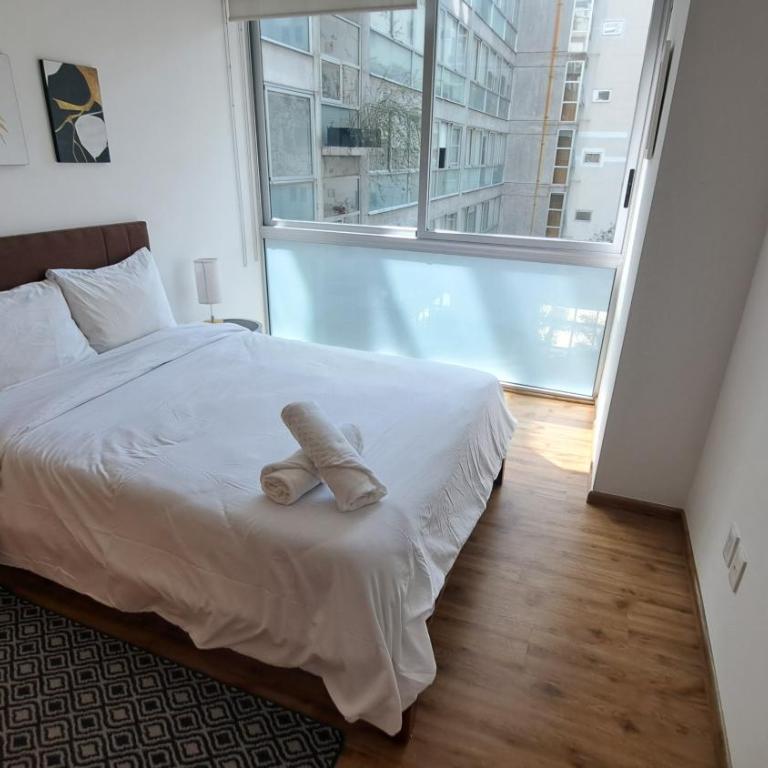 Condominio Qbico Santa Fe - Apartamento Deluxe de 2 dormitorios con vistas al jardín - 17