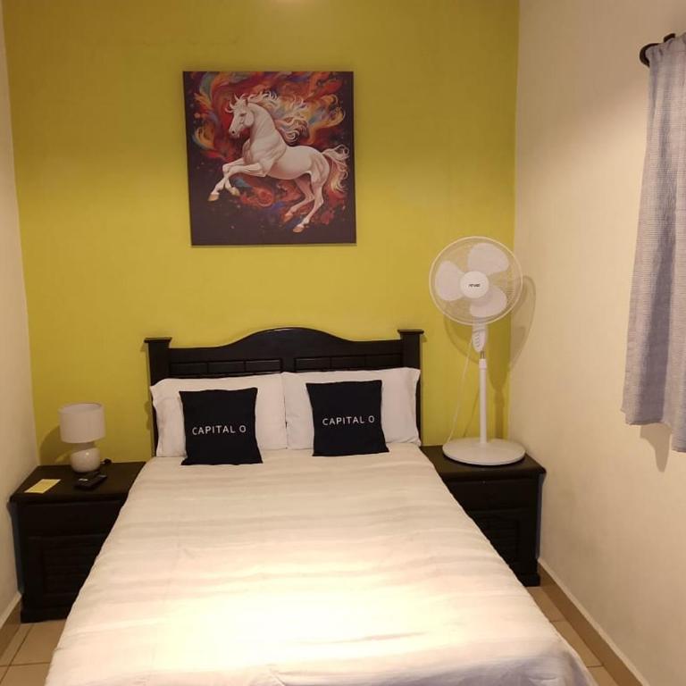 Hotel Terracota - Standard - 7