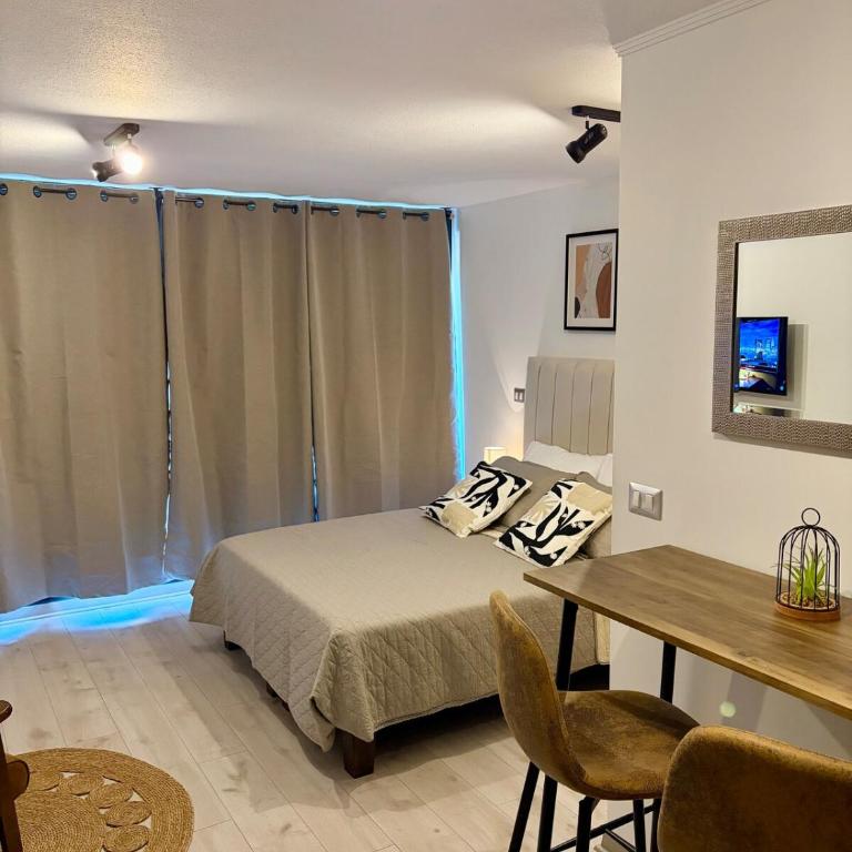Cozy studio Paseo Bulnes y Moneda metro con Terraza - Apartamento de 1 dormitorio - 2