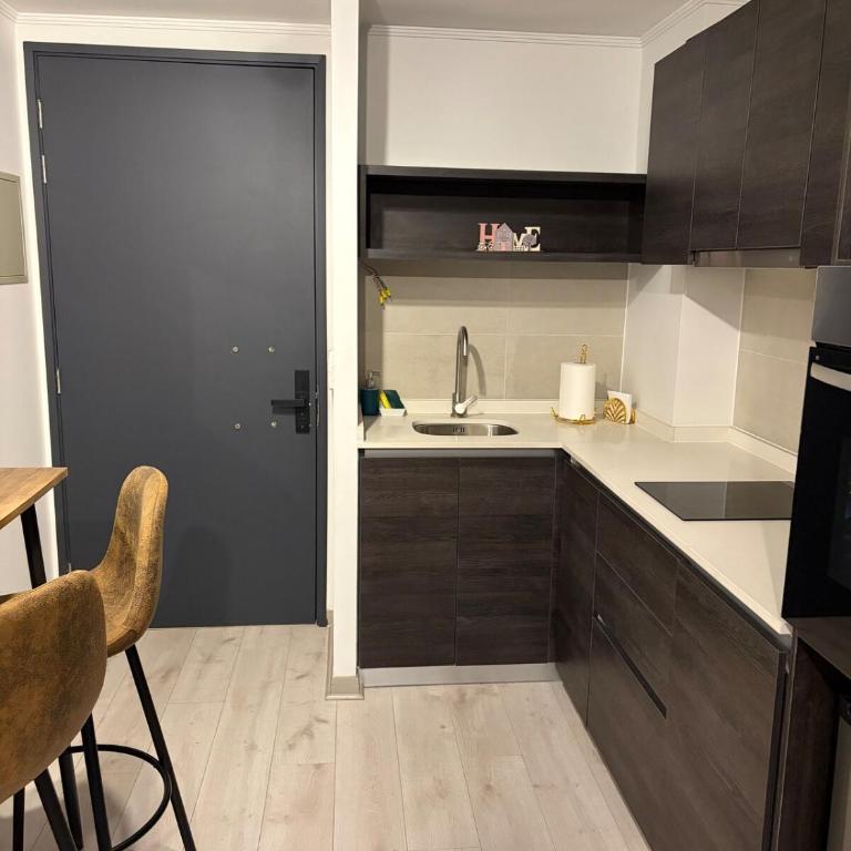 Cozy studio Paseo Bulnes y Moneda metro con Terraza - Apartamento de 1 dormitorio - 6