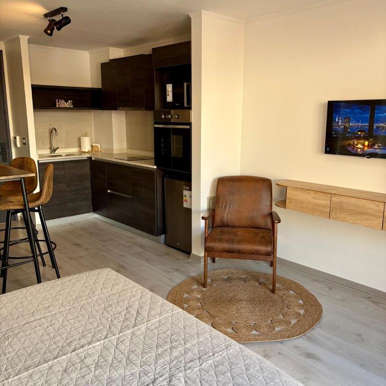 Cozy studio Paseo Bulnes y Moneda metro con Terraza - Apartamento de 1 dormitorio - 11