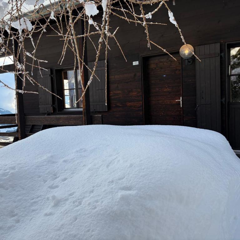 Beautiful chalet with exceptional views, ski-to-door, very quiet - Chalet - 36