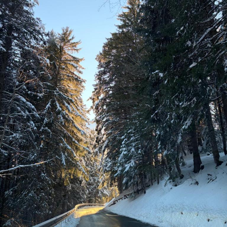 Beautiful chalet with exceptional views, ski-to-door, very quiet - Chalet - 61