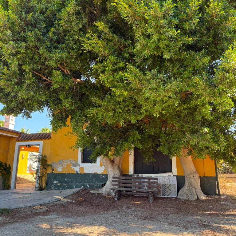 Villa Carranza A - Villa de 2 dormitorios - 3