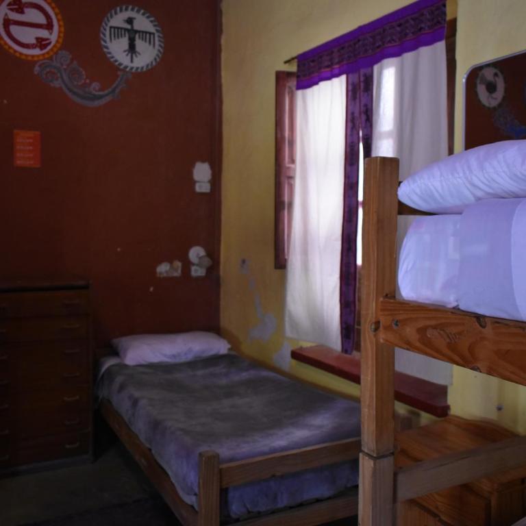 Kamaq Hostel - Cama Individual en habitación compartida femenina - 6