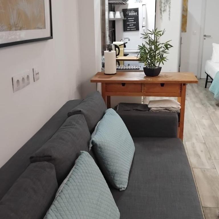 El estudio para 3 personas bicicletas gratis - Appartement Loft 1 Chambre - 3