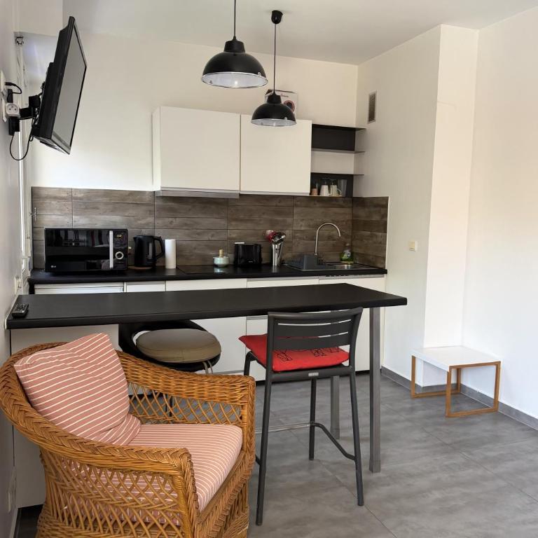 Studio entre Nice et Monaco - One-Bedroom Apartment - 3