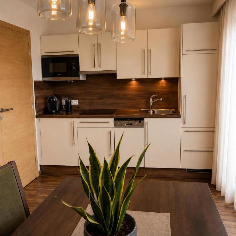 Berghof Apartments - Apartment mit 1 Schlafzimmer und Terrasse - 5