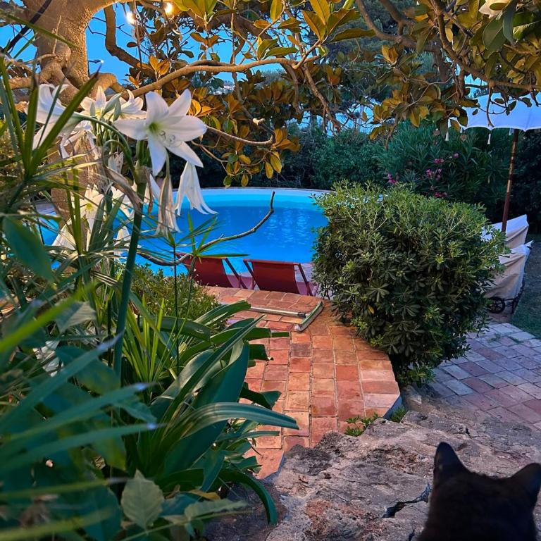 La Goélette - Villa familiale de charme - Villa - Vue sur Mer - 57