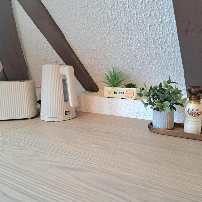 Chez Agnès - Charme alsacien au coeur de Colmar, avec parking privé - Appartement 1 Chambre - 21