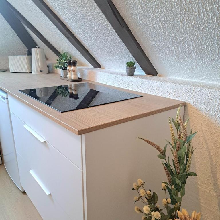 Chez Agnès - Charme alsacien au coeur de Colmar, avec parking privé - Appartement 1 Chambre - 20