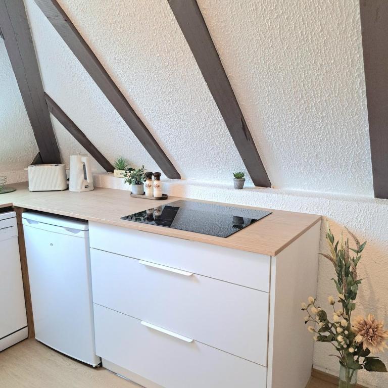 Chez Agnès - Charme alsacien au coeur de Colmar, avec parking privé - Appartement 1 Chambre - 19