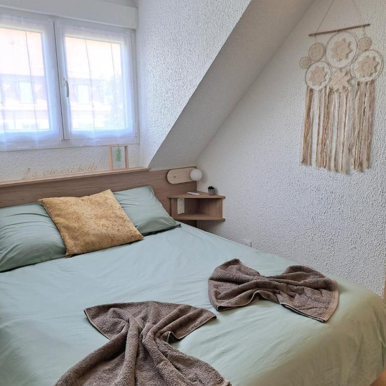 Chez Agnès - Charme alsacien au coeur de Colmar, avec parking privé - Appartement 1 Chambre - 7