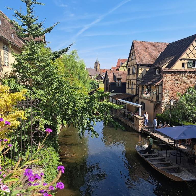Chez Agnès - Charme alsacien au coeur de Colmar, avec parking privé - Appartement 1 Chambre - 12