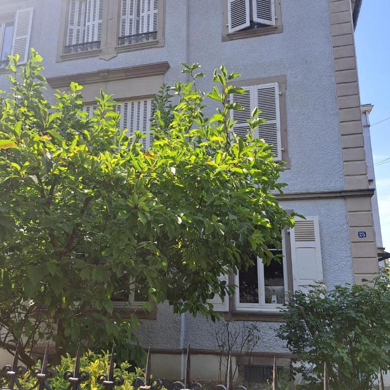 Chez Agnès - Charme alsacien au coeur de Colmar, avec parking privé - Appartement 1 Chambre - 25