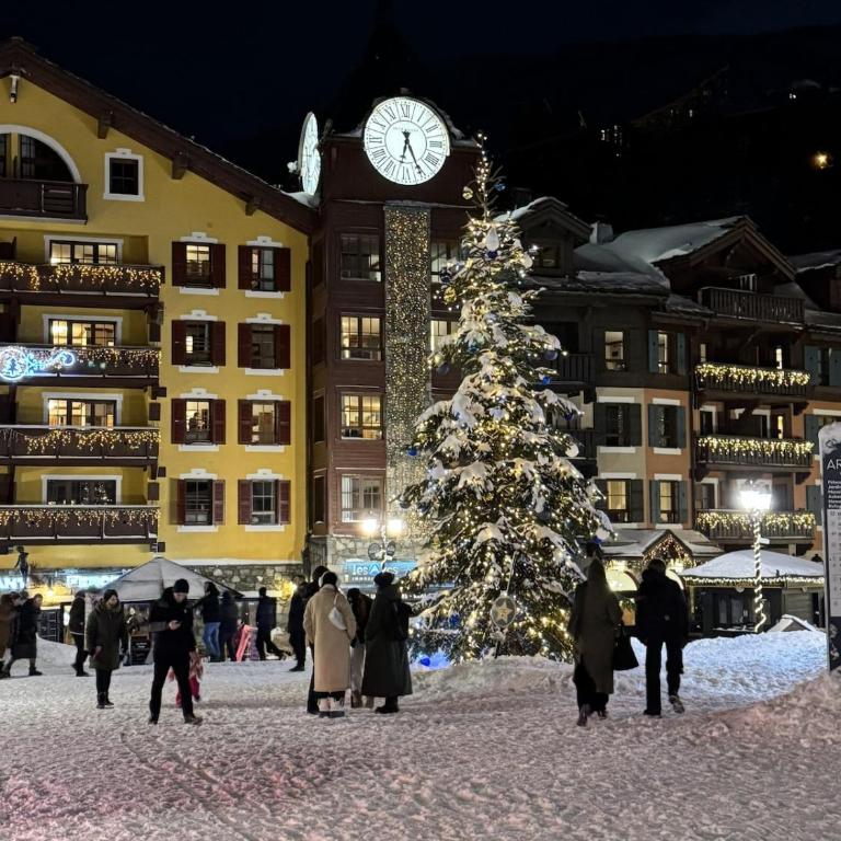 Les Arcs 1950 - l'Atelier Alpin - Mountain View - Appartement 2 Chambres - 12