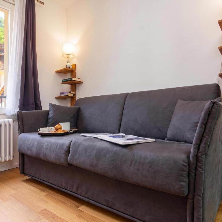 Apt Paccard305 Central Chamonix Studio, near Brevent lift for 2 - Happy Rentals - Studio mit Bergblick - 9