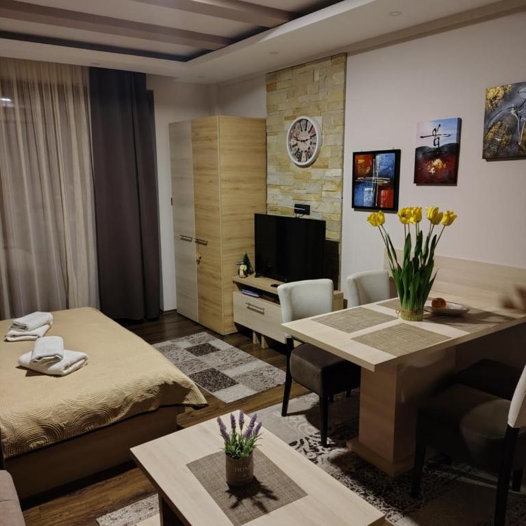 Milmari Kopaonik - Appartement 1 Chambre - 6