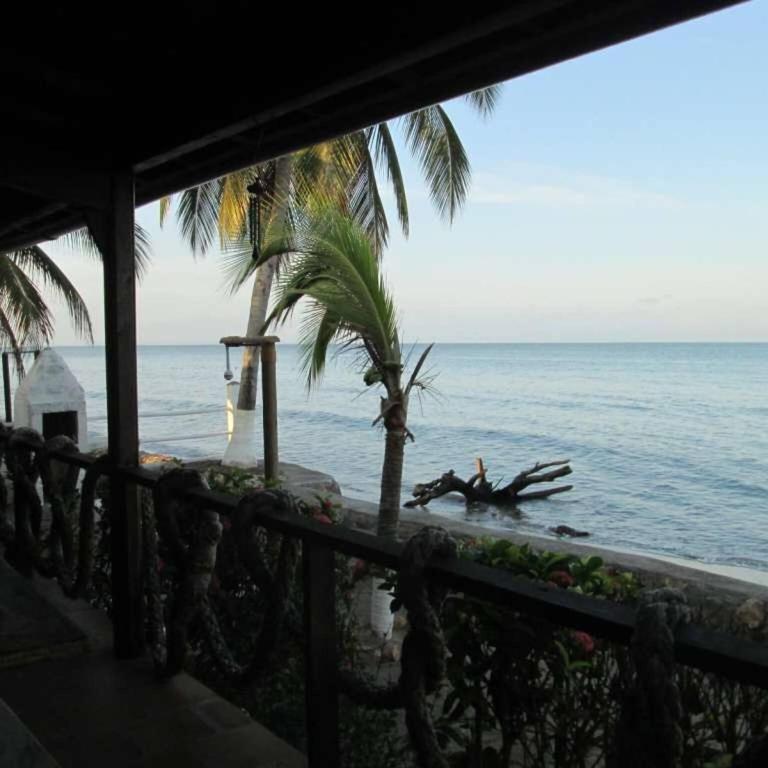 Beautiful oceanfront cabin - The Frenchman, Tol - Casa - 10