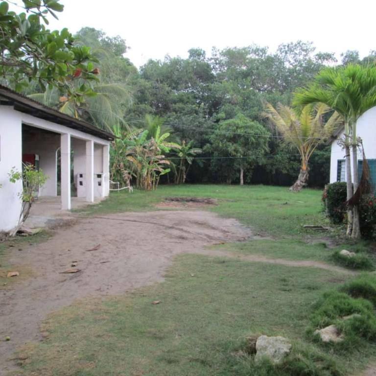 Beautiful oceanfront cabin - The Frenchman, Tol - Casa - 17