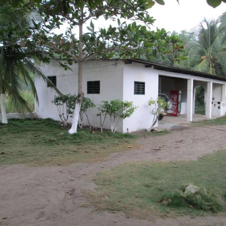 Beautiful oceanfront cabin - The Frenchman, Tol - Casa - 20