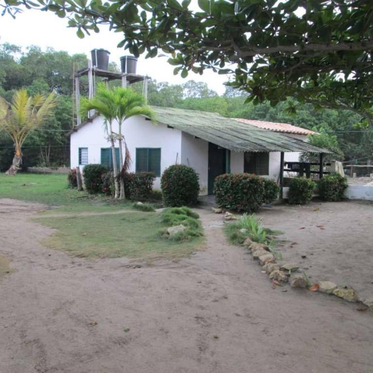 Beautiful oceanfront cabin - The Frenchman, Tol - Casa - 22