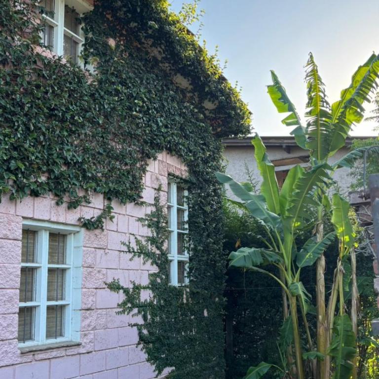 La Casita de Verano - One-Bedroom House - 12
