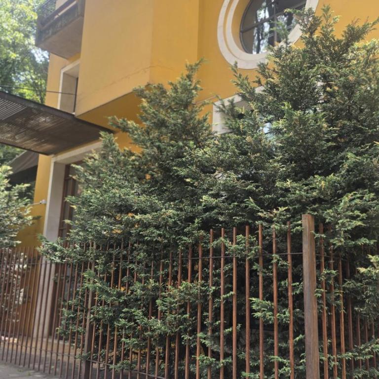 Comfort and Style in Zona G Pet Friendly - One-Bedroom Apartment - 10