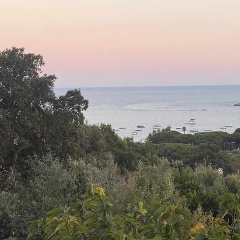 Les Citronniers - Splendide vue mer accès plage à pieds à 5 minutes - Villa - Vue sur Mer - 59