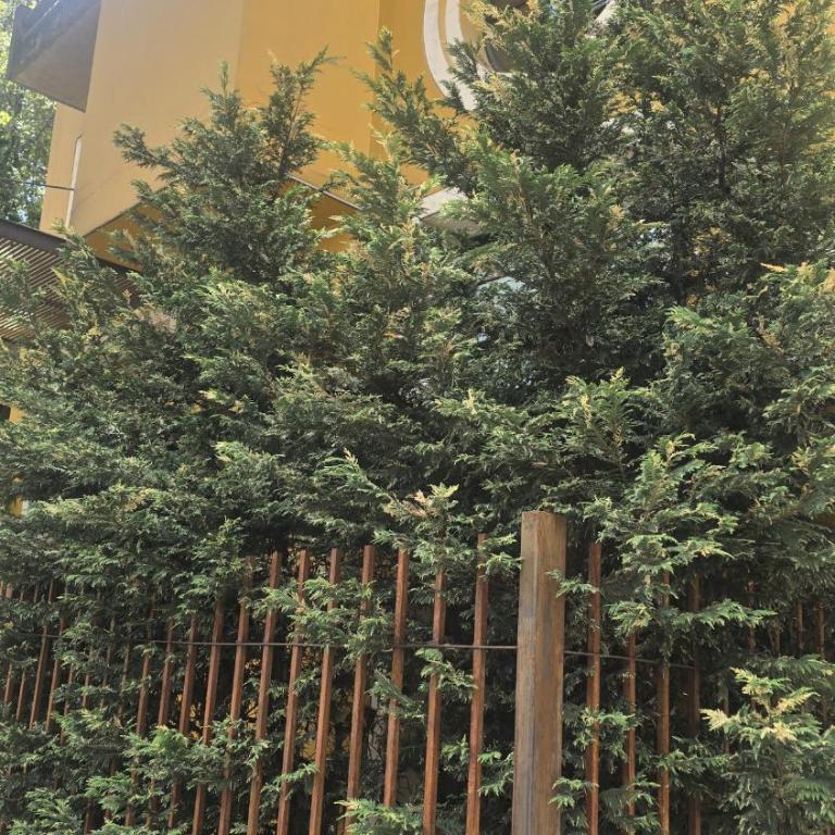 Modern Comfort in the Heart of Zona G 202 - Apartamento de 1 dormitorio - 18
