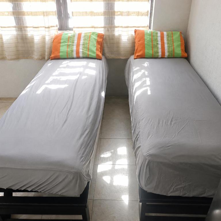 casa agave - Apartamento - Planta baja - 3