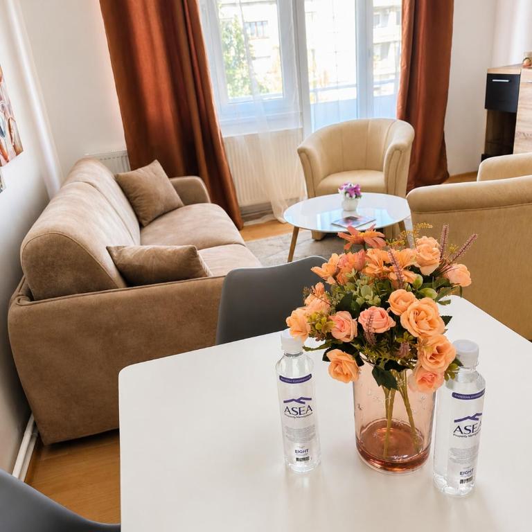 City Center Comfort Apartment - Two-Bedroom Apartment - 5
