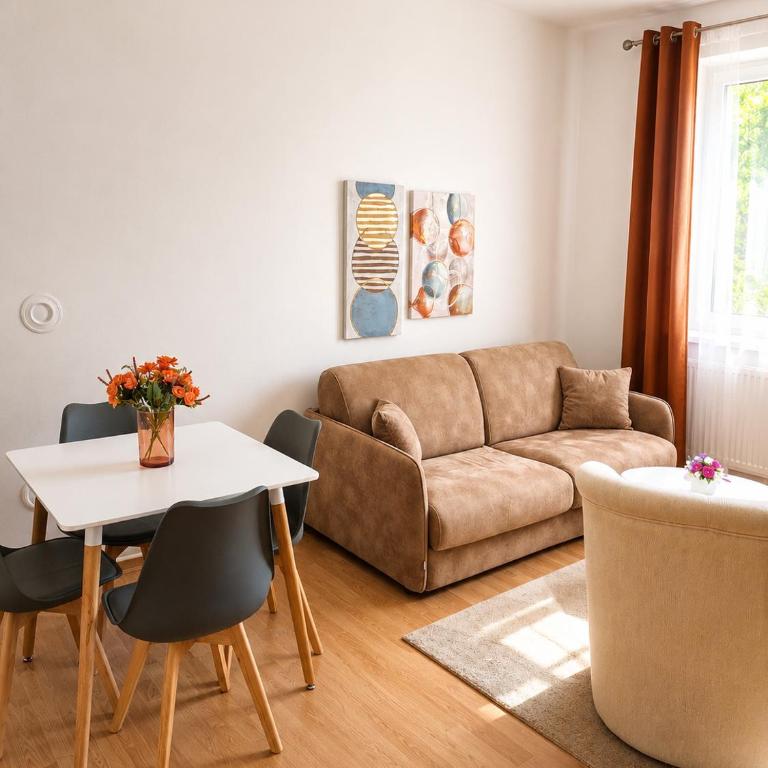 City Center Comfort Apartment - Two-Bedroom Apartment - 3