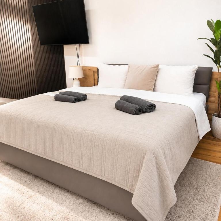 Altstadt-Loft Würzburg - Apartment mit 1 Schlafzimmer - 2
