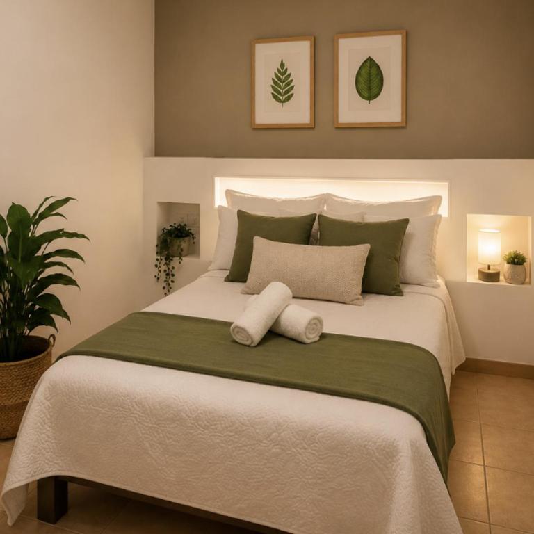 Morada Luna Coyoacán - Chambre Double Standard avec Salle de Bains Commune - 10