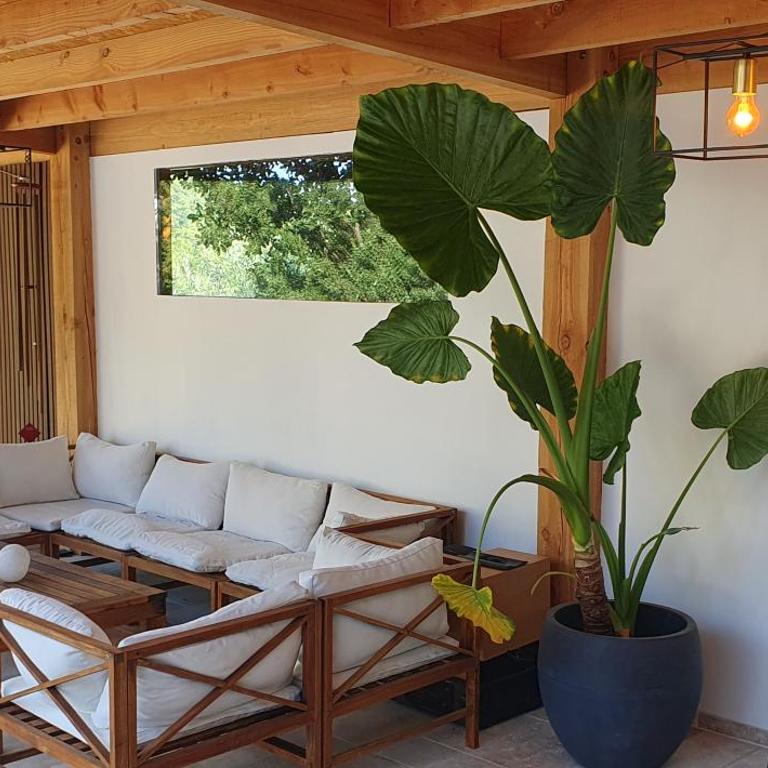 Bas de Villa, piscine balinaise, vue sur les montagnes - Appartement 1 Chambre - 2