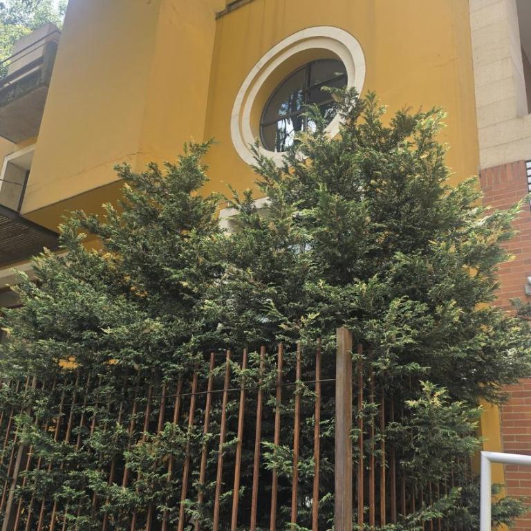 Elegant Apt in Zona G Modern & Sophisticated 301 - Apartamento de 1 dormitorio - 8
