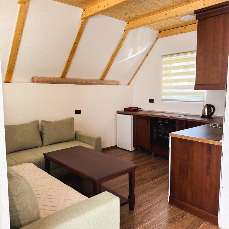 Apartmani Vila Zabljak - Standardna Vila - 9